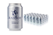Radnor Spring Water Sparkling - 330ml Can (Pack of 24)