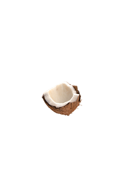 Raise Snacks Coconut & Almond Clusters of Nuts & Seeds - 35g (Pack of 12)