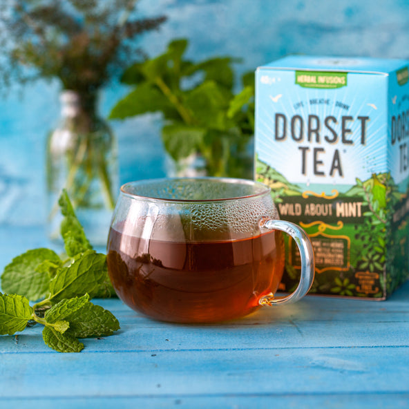 Dorset Tea Wild About Mint Individually Wrapped Envelope Tea Bags – 20 Pack