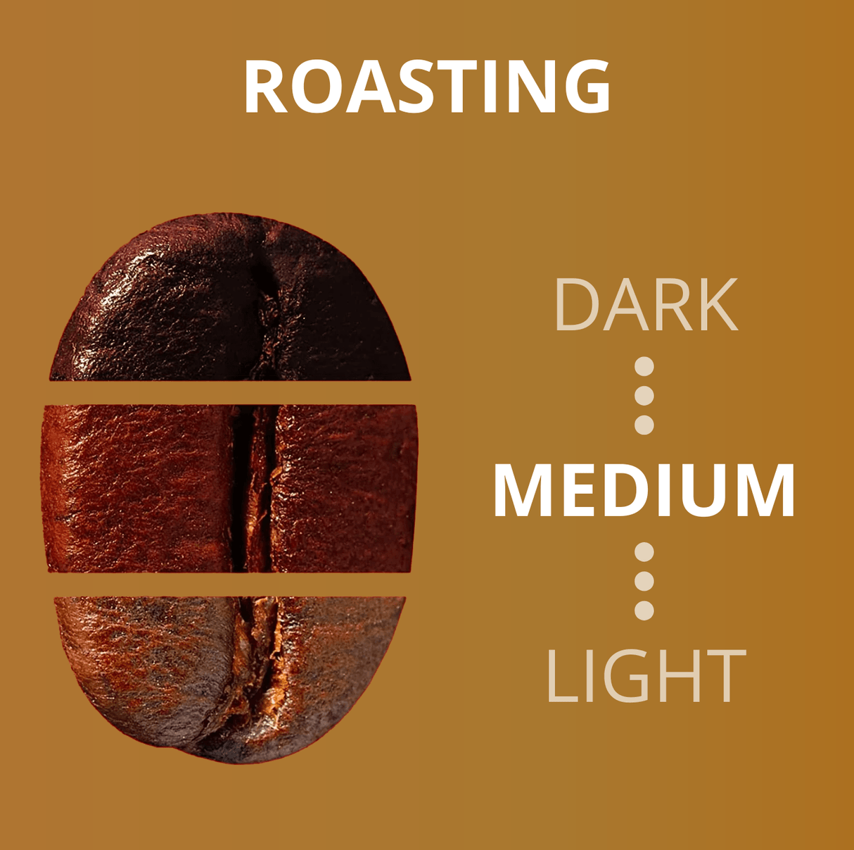 Lavazza Expert Crema & Aroma Coffee Beans (1kg Bags or Full Case) - Vending Superstore