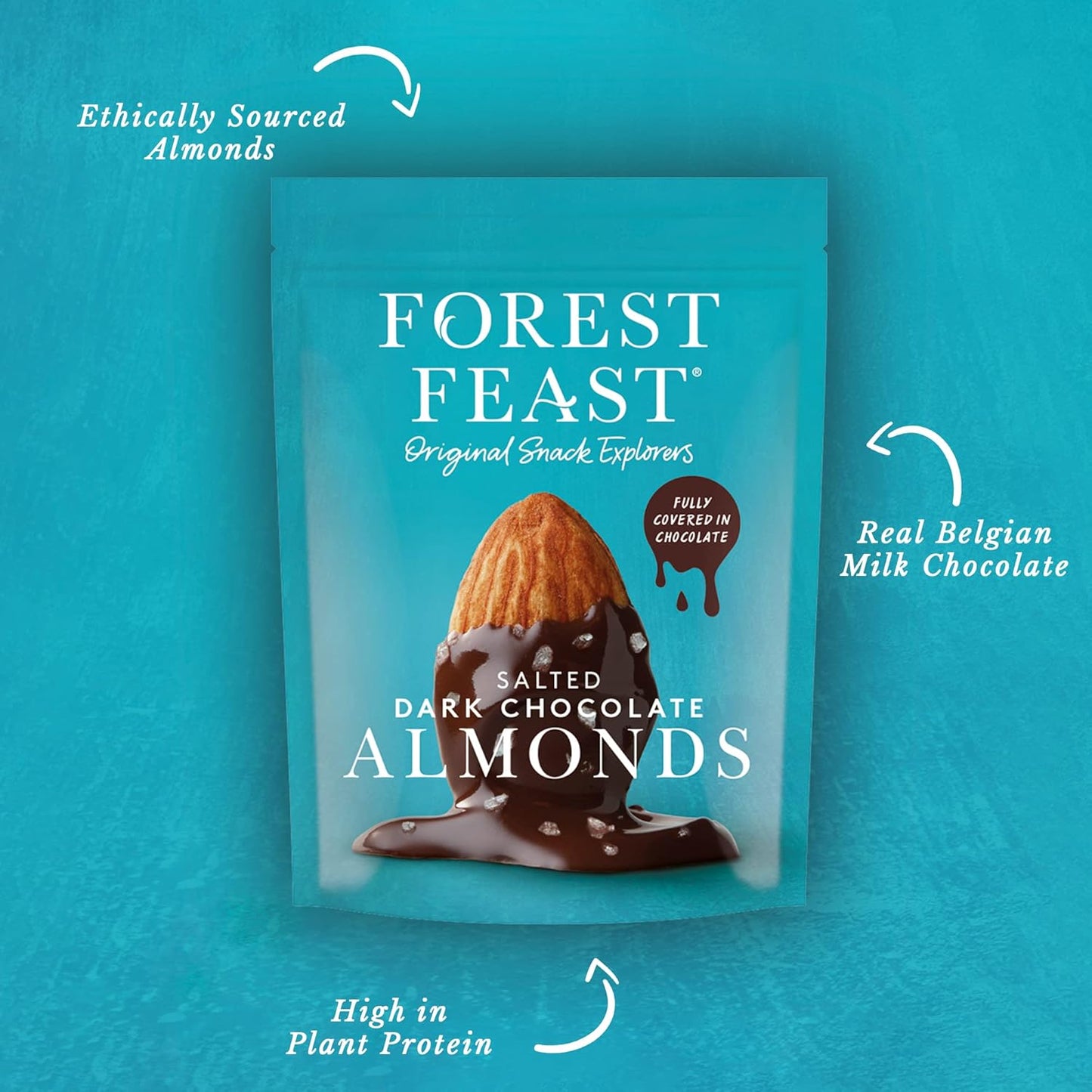 Forest Feast Salted Dark Chocolate Almonds 40g - (Pack of 12)