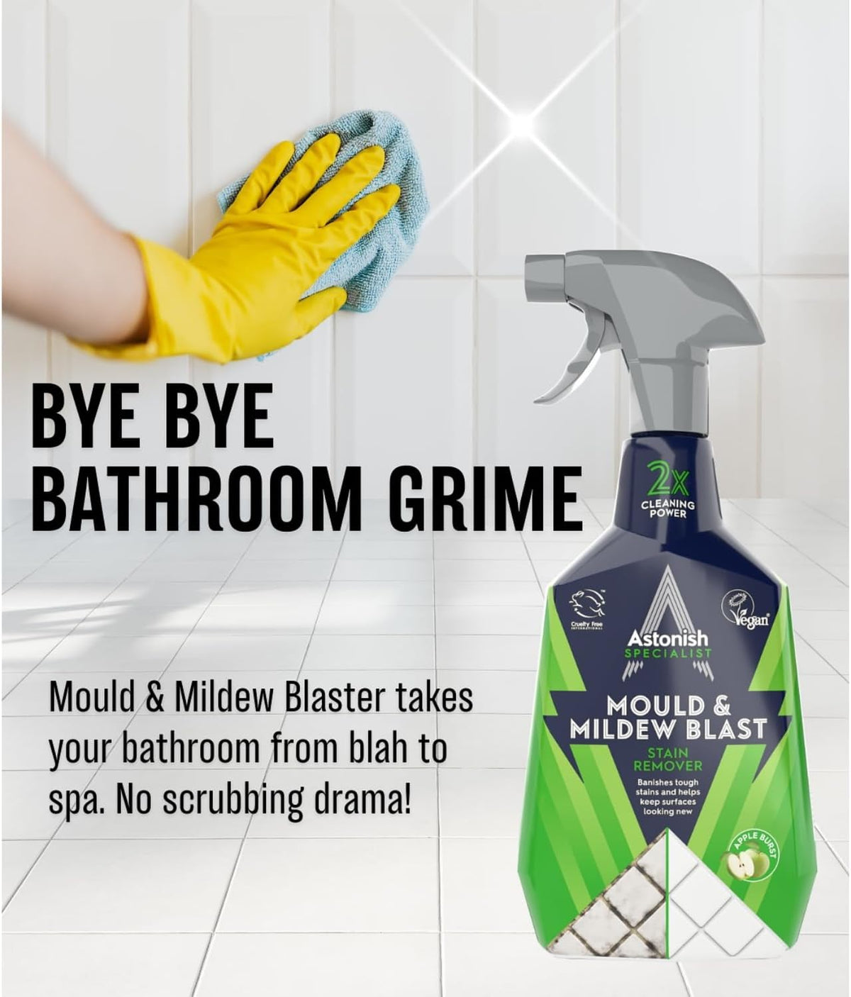 Astonish Specialist Edition Mould & Mildew Stain Remover 750ml - Pack of 12