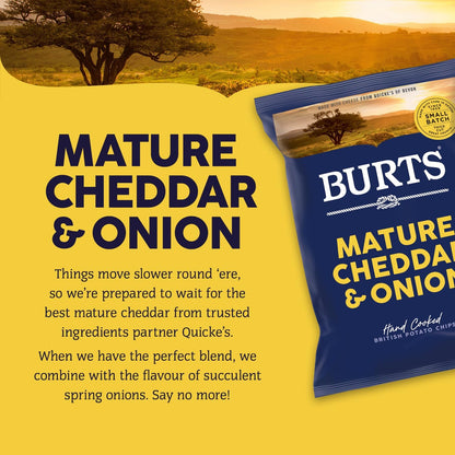 Burts Mature Cheddar & Spring Onion Crisps 40g - Box of 20