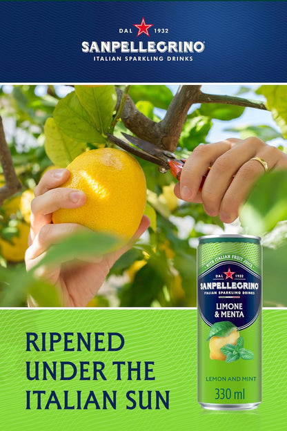 San Pellegrino Lemon & Mint - 330ml (Pack of 12)