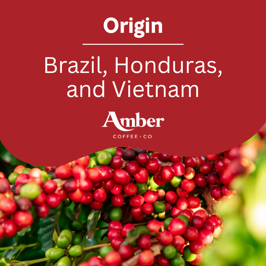 Amber Coffee Co Italiano Blend Coffee Beans - 1kg (Case of 6)