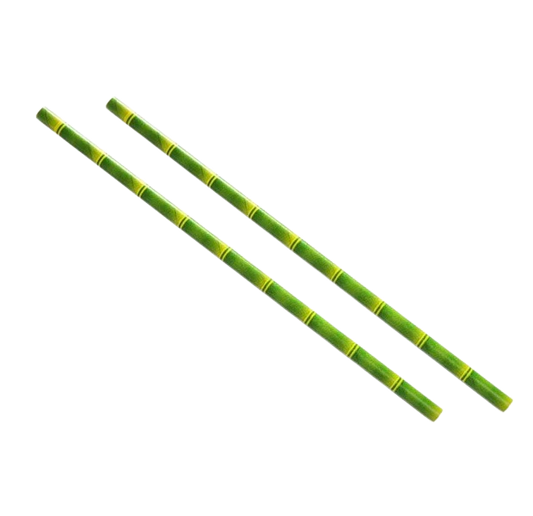 Biodegradable Bamboo Paper Straws 8inch - 6mm Diameter (Pack of 100)