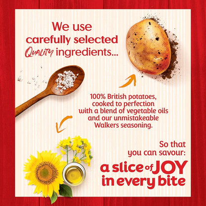 Walkers Crisps: Salt & Vinegar - 32.5g (Box of 32)