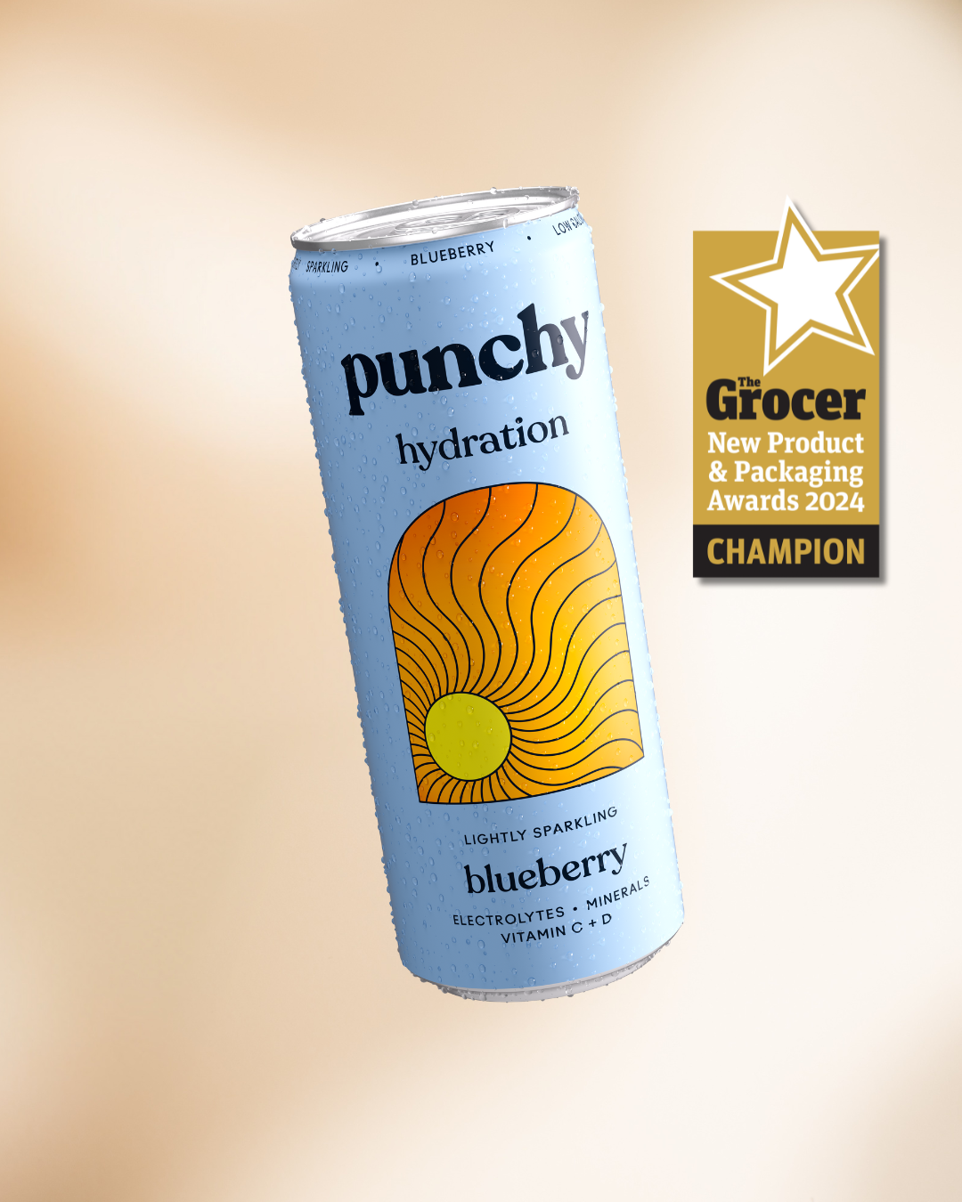 Punchy Hydration Blueberry - 330ml (Pack of 12)