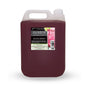 Blackcurrant Vending Syrup (5 Litre)