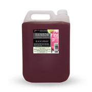 Blackcurrant Vending Syrup (5 Litre)